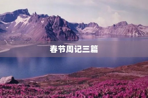 春节周记三篇 春节周记三篇