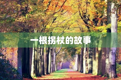 一根拐杖的故事 一根拐杖的故事