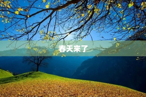 春天来了