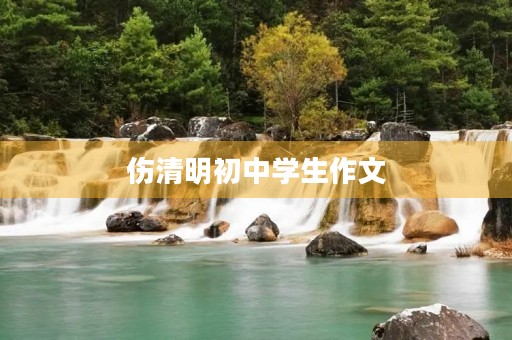 伤清明初中学生作文 伤清明初中学生作文
