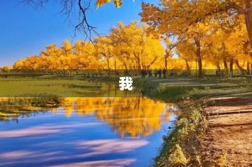 我 我