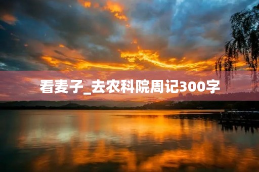 看麦子_去农科院周记300字 看麦子_去农科院周记300字