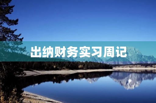 出纳财务实习周记 出纳财务实习周记