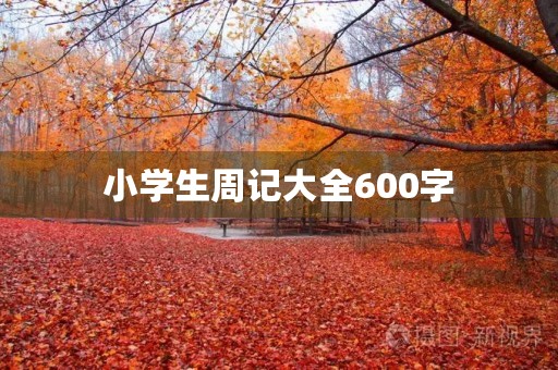 小学生周记大全600字 小学生周记大全600字