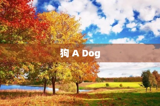 狗 A Dog 狗 A Dog