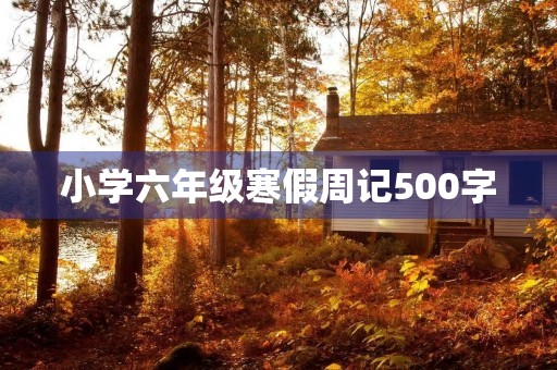 小学六年级寒假周记500字
