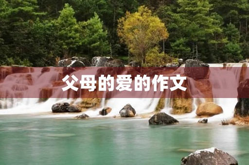 父母的爱的作文