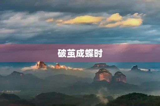 破茧成蝶时 破茧成蝶时