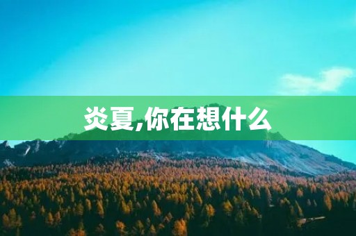 炎夏,你在想什么