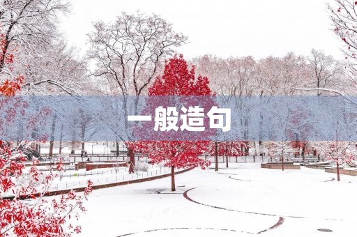 一般造句 一般造句