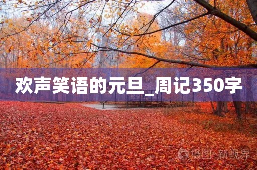 欢声笑语的元旦_周记350字 欢声笑语的元旦_周记350字