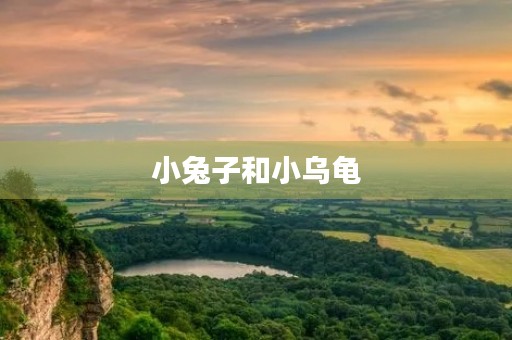 小兔子和小乌龟