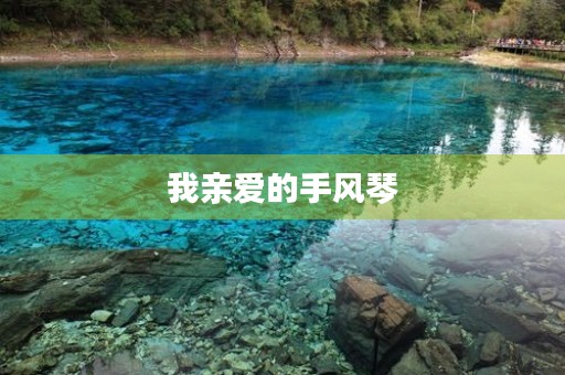 我亲爱的手风琴 我亲爱的手风琴