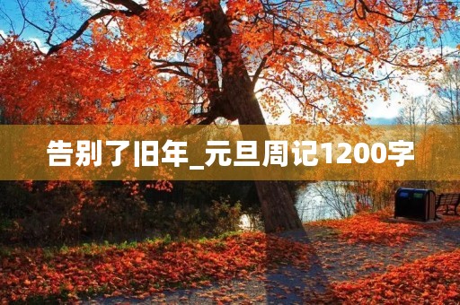 告别了旧年_元旦周记1200字