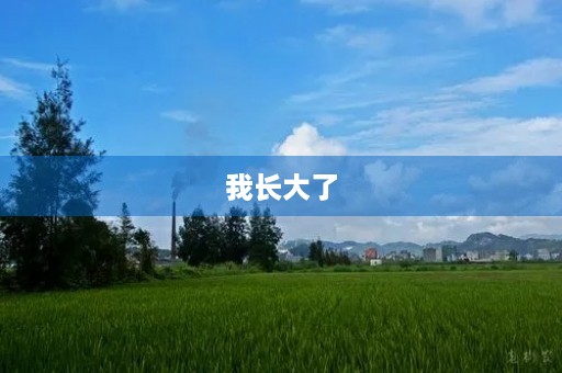 我长大了 我长大了