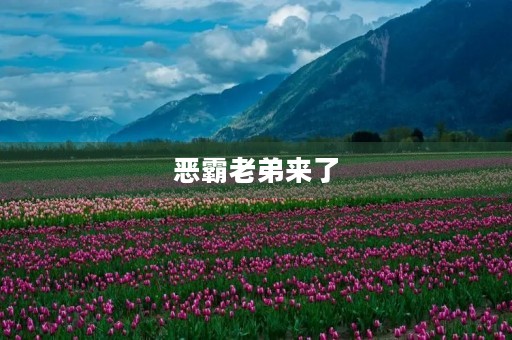 恶霸老弟来了 恶霸老弟来了
