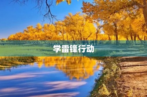学雷锋行动