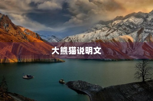 大熊猫说明文 大熊猫说明文