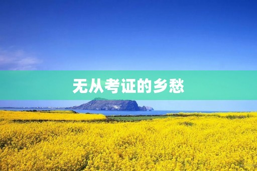无从考证的乡愁