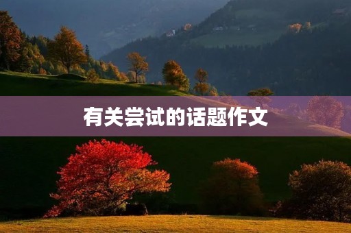 有关尝试的话题作文