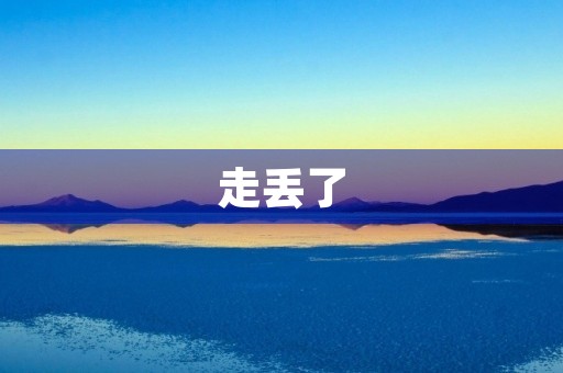 走丢了 走丢了