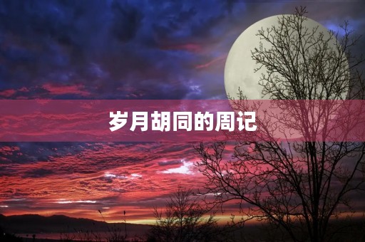 岁月胡同的周记 岁月胡同的周记