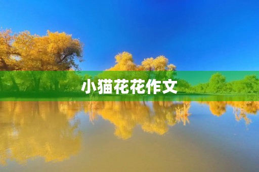 小猫花花作文