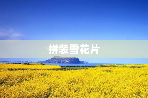 拼装雪花片 拼装雪花片