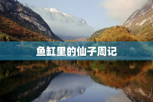鱼缸里的仙子周记