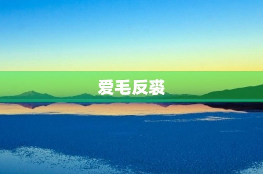 爱毛反裘 爱毛反裘
