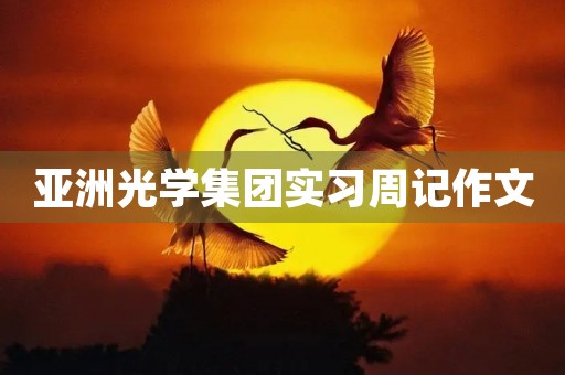 亚洲光学集团实习周记作文 亚洲光学集团实习周记作文