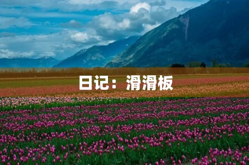 日记:滑滑板 日记:滑滑板