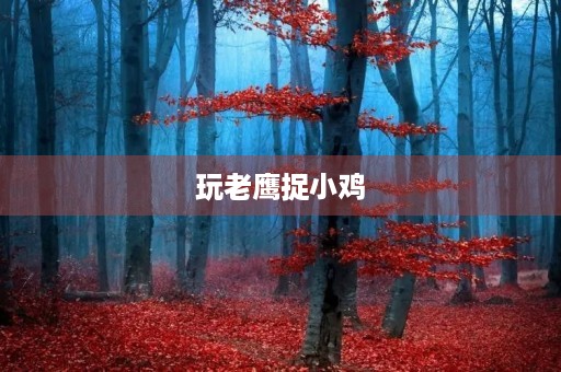玩老鹰捉小鸡 玩老鹰捉小鸡