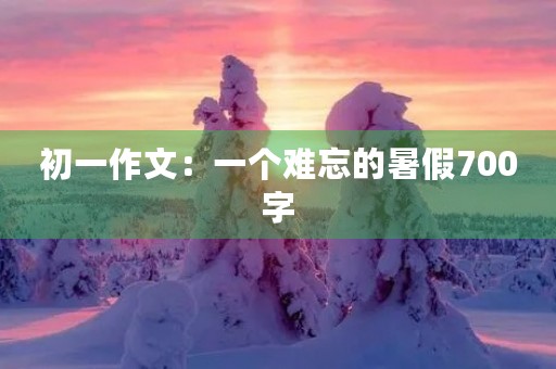 初一作文：一个难忘的暑假700字
