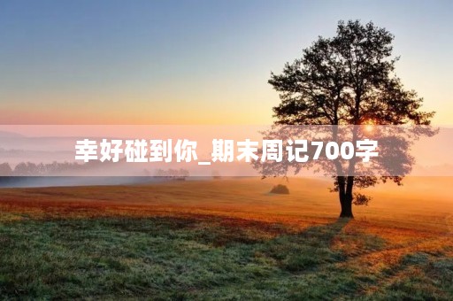 幸好碰到你_期末周记700字