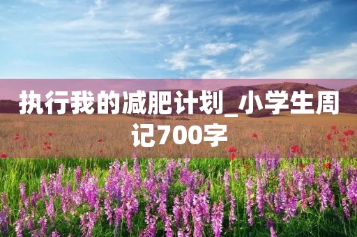 执行我的减肥计划_小学生周记700字