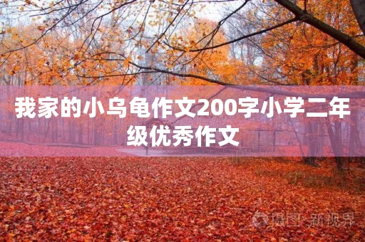我家的小乌龟作文200字小学二年级优秀作文 我家的小乌龟作文200字小学二年级优秀作文