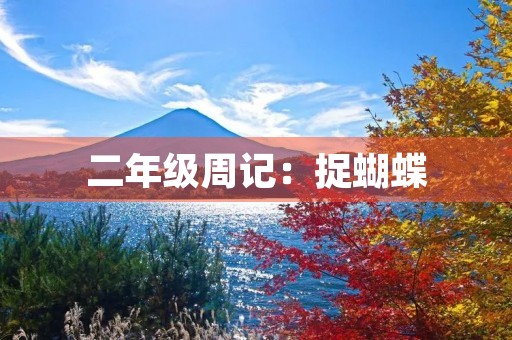 二年级周记：捉蝴蝶