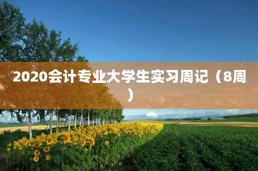 2020会计专业大学生实习周记(8周) 2020会计专业大学生实习周记(8周)