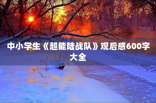 中小学生《超能陆战队》观后感600字大全