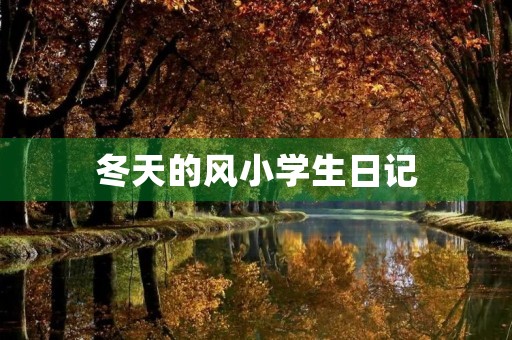 冬天的风小学生日记 冬天的风小学生日记