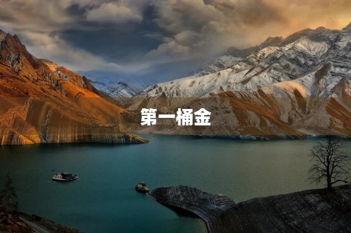 第一桶金 第一桶金