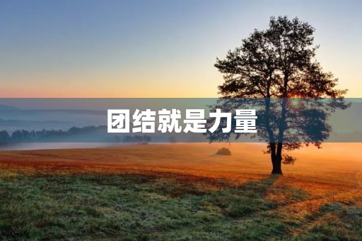 团结就是力量 团结就是力量