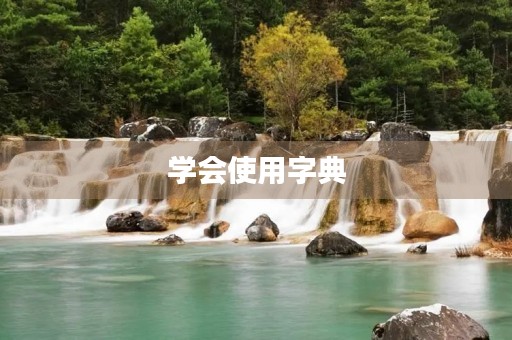 学会使用字典 学会使用字典