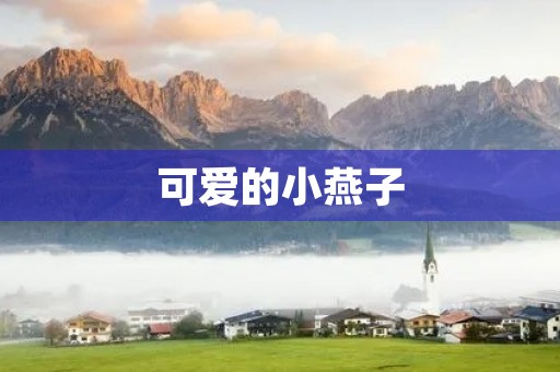 可爱的小燕子