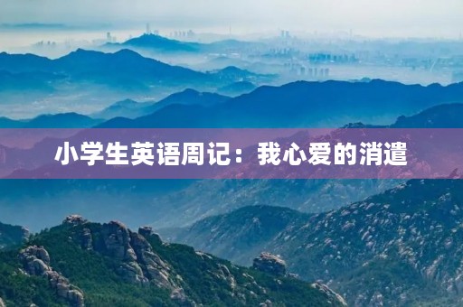 小学生英语周记：我心爱的消遣