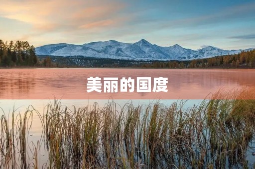 美丽的国度 美丽的国度
