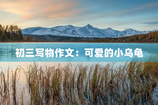 初三写物作文:可爱的小乌龟 初三写物作文:可爱的小乌龟