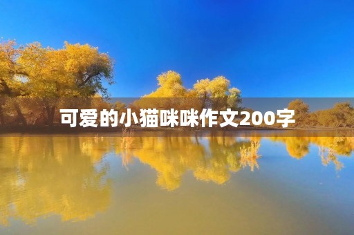 可爱的小猫**作文200字