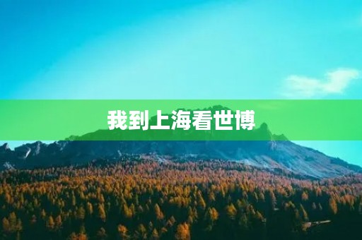 我到上海看世博 我到上海看世博